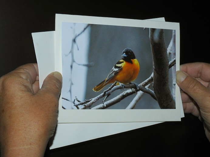 Hand Made Cards